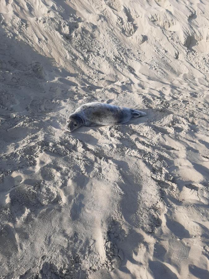 Blekkerke Villa Koksijde Eksteriør bilde