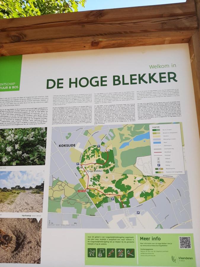 Blekkerke Villa Koksijde Eksteriør bilde